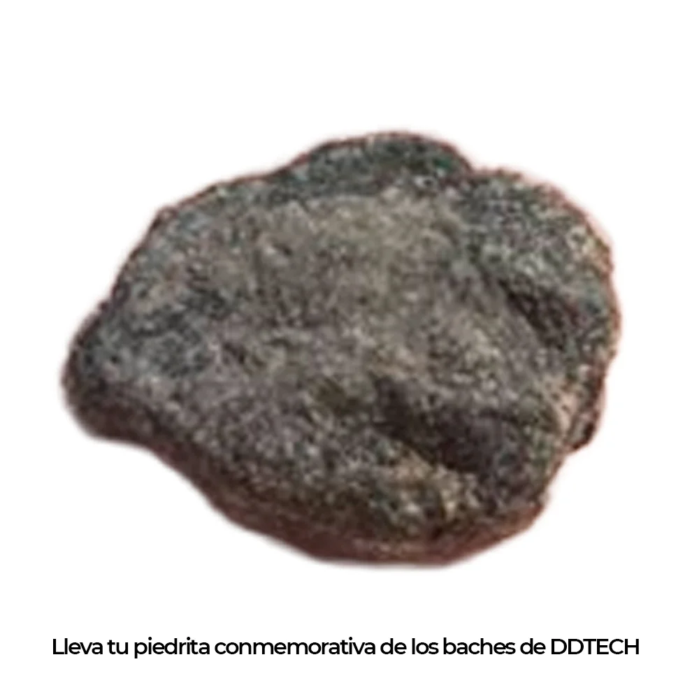 Servicio complementario de envio / Incluye Piedrita de los famosos baches de DDTech / Valido exclusivamente en la compra de otro producto